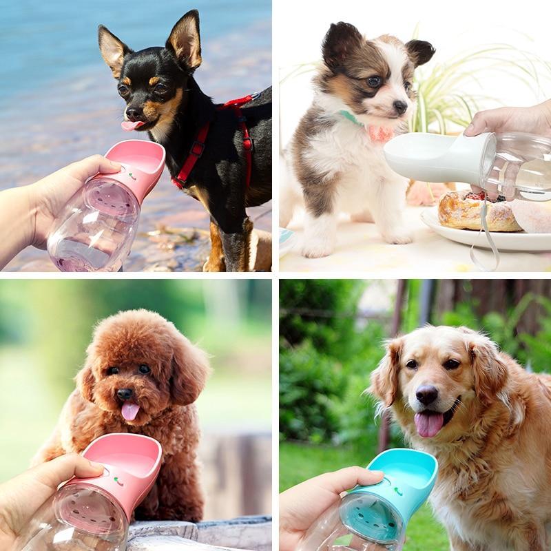 AquaPaws Portable Pet Bottle for Dogs & Cats