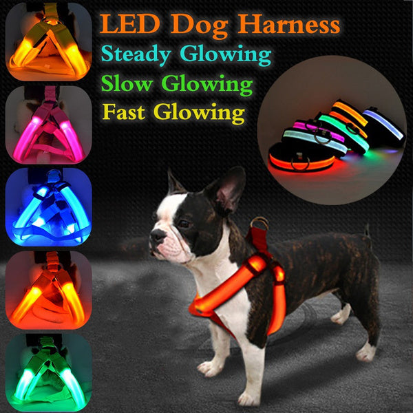 LED Nylon Pet Safety Harness